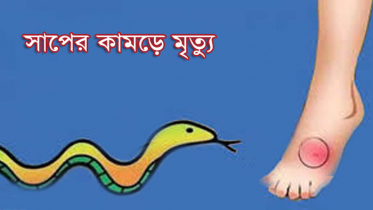 হাসপাতালে ভ্যাকসিন না থাকায় সাপুড়ের মৃত্যু