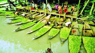 দর্শনার্থীদের পদচারণায় জমজমাট ভাসমান পেয়ারা বাজার