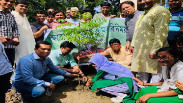 ঢাকাস্থ চাঁদপুর জেলা সাংবাদিকদের বৃক্ষরোপণ কর্মসূচি 