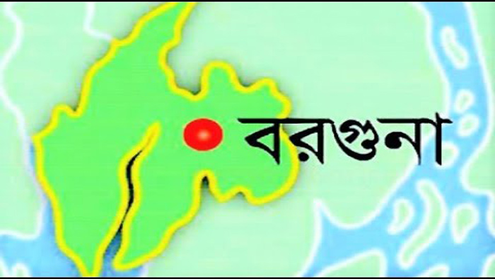 বরগুনায় নছিমন উল্টে যুবক নিহত