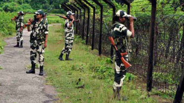 শেরপুর সীমান্তে বিএসএফের গুলিতে বাংলাদেশি নিহত