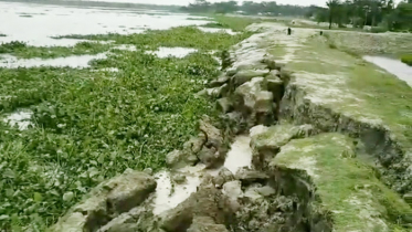 সিডরের এক যুগ ও শরণখোলায় ক্ষতিগ্রস্তদের স্বপ্নের বেড়িবাঁধ