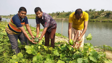 দেড় লাখ কৃষকের মুখে হাসি