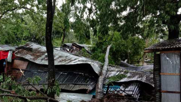 বরিশালে বুলবুলের প্রভাবে তিন হাজার ঘরবাড়ি বিধ্বস্ত