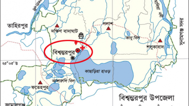 ঘরে ঢুকে কলেজ ছাত্রীর ওপর হামলা, আহত ২