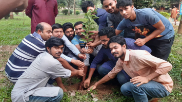 হাবিপ্রবিতে শেখ রাসেল এর জন্মদিনে বৃক্ষরোপণ কর্মসূচি