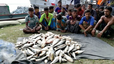 তেঁতুলিয়া নদীতে ইলিশ শিকারি ১৯ জেলে আটক