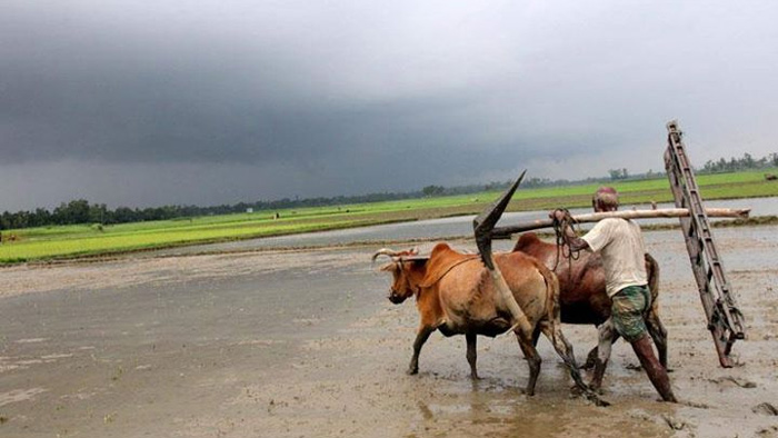 আগামী ৪৮ ঘণ্টায় বৃষ্টিপাতের প্রবণতা বৃদ্ধি পেতে পারে- সংগৃহীত