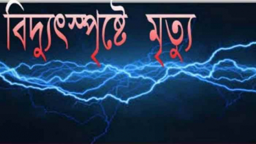 বেগমগঞ্জে ধান ক্ষেতে বিদ্যুৎস্পৃষ্টে যুবকের মৃত্যু