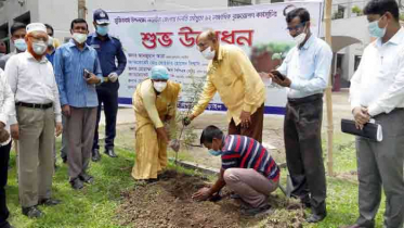 মুজিববর্ষে ১২ লক্ষাধিক বৃক্ষরোপণ হবে নড়াইলে