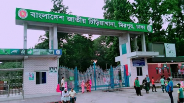 জাতীয় চিড়িয়াখানা খুলছে আজ