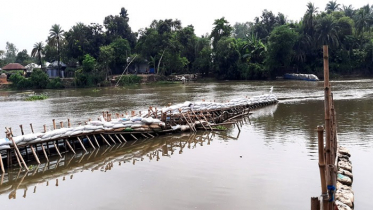 আত্রাই নদীতে বাঁধ দিয়ে মাছ শিকার