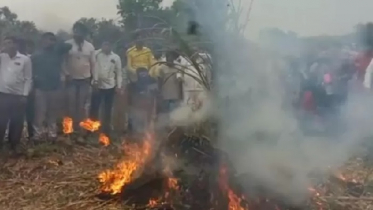 ভারতে কৃষকরা উৎপাদিত পেঁয়াজ জ্বালিয়ে দিচ্ছেন কেন?