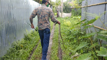 হেডফোন ভেবে সাপের লেজ ধরেই টানাটানি!