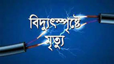 ঠাকুরগাঁয়ে বিদ্যুৎস্পৃষ্ট হয়ে গৃহবধূর মৃত্যু