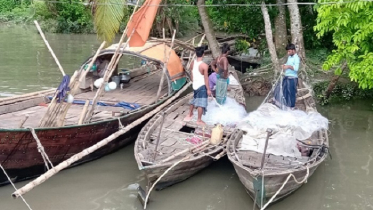 দুই মাসের নিষেধাজ্ঞা শেষ, মধ্যরাত থেকে ইলিশ ধরা শুরু (ভিডও)