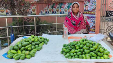 লেবু বিক্রি করেই চলে শাহানার সংসার