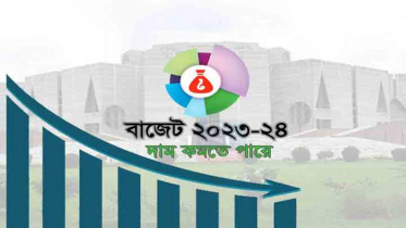 বাজেটে দাম কমতে পারে যেসব পণ্যের