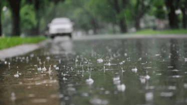 সপ্তাহজুড়ে বৃষ্টির আভাস