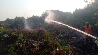 সুন্দরবনে আগুন, পুড়ে গেছে ৩ শতক বনভূমি