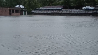 প্লাবিত নিম্নাঞ্চল, বিদ্যুৎ বিচ্ছিন্ন পুরো বাগেরহাট জেলা