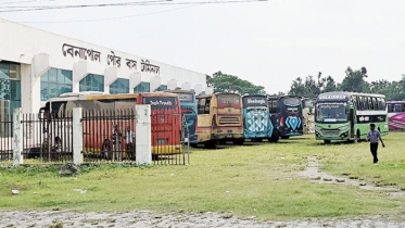 তিন দিন ধরে বেনাপোলে দূরপাল্লার বাস বন্ধ, নেই সমঝোতা