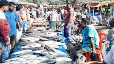 বগুড়ার ঐতিহ্যবাহি মাছের মেলা