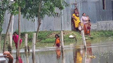 আখাউড়ায় পানিবন্দি অর্ধশত পরিবার 