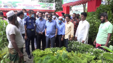 ব্রাহ্মণবাড়িয়ায় দশ দিনব্যাপী বৃক্ষমেলার উদ্বোধন