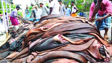 চামড়ার ন্যায্যমূল্য নিশ্চিতে সারাদেশে অভিযান