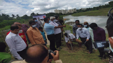 নবগঙ্গা নদীর পাড়ে বৃক্ষরোপন কার্যক্রমের উদ্বোধন