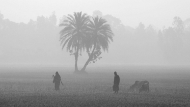 শৈত্যপ্রবাহ থাকছে, বৃষ্টিরও আভাস