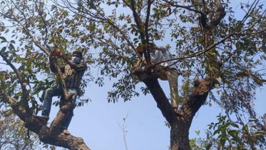 সিকৃবি প্রাধিকারের পাখির জন্য অনন্য এক ভালোবাসা 