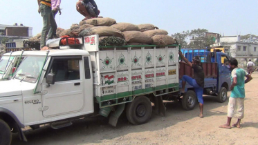 আবারও হিলি স্থলবন্দর দিয়ে সাজনা আমদানি শুরু