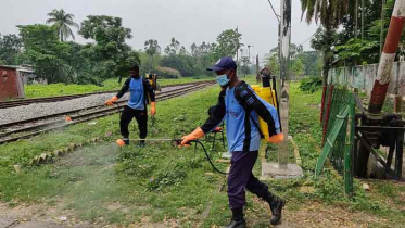 ডেঙ্গু প্রতিরোধে মাঠে নেমেছে হিলি পৌরসভা