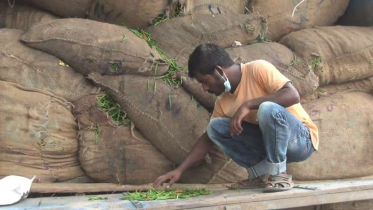 হিলি স্থলবন্দর দিয়ে কাঁচামরিচ আমদানি শুরু