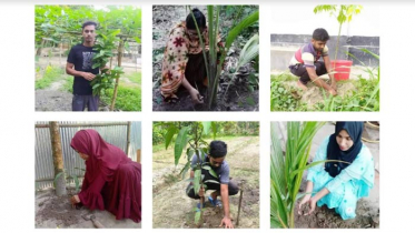 পরিবেশ রক্ষায় হাবিপ্রবি শিক্ষার্থীদের ‘জিরো কার্বন ফুটপ্রিন্ট’ 