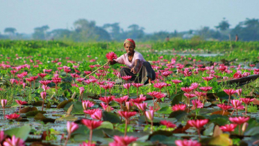 সুখী দেশের তালিকায় ১০১তম অবস্থানে বাংলাদেশ