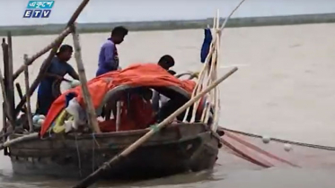 নিষেধাজ্ঞা উপেক্ষা করে চলছে মা ইলিশ আহরণ (ভিডিও)