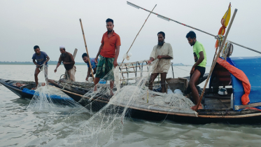 মধ্যরাত থেকে ২২ দিনের জন্য বন্ধ হচ্ছে ইলিশ শিকার