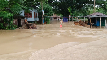 বাংলাদেশের বন্যা প্রসঙ্গে যা জানাল ভারত