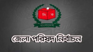 জেলা পরিষদকে জাতীয় নির্বাচনের প্রস্তুতি হিসেবে দেখছে আ.লীগ (ভিডিও)