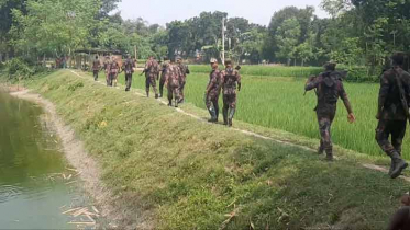 ফের বিএসএফের কাঁটাতারের বেড়া দেয়ার চেষ্টা, বিজিবির বাঁধায় পণ্ড