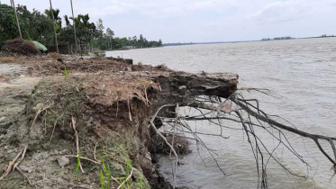 কুড়িগ্রামে তিস্তার ২০টি পয়েন্টে ভাঙন,দুর্ভোগ চরমে