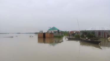 কুড়িগ্রামে পানি বৃদ্ধি অব্যাহত, নিম্নাঞ্চল প্লাবিত