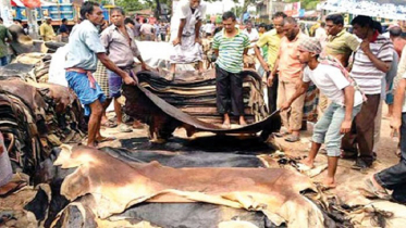 চামড়া ব্যবসায় আশার আলো দেখছেন ব্যবসায়ীরা