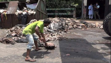 লাখ টাকার গরুর চামড়া ১শ’ টাকায়ও বিক্রি হচ্ছে না