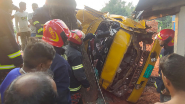 মিরসরাইয়ে গাছের সঙ্গে ধাক্কা খেয়ে ট্রাক উল্টে নিহত ২