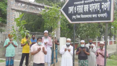 নওগাঁয় বৃক্ষরোপন কর্মসূচির উদ্বোধন