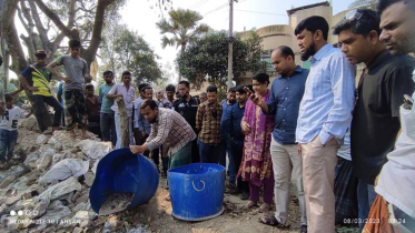 নওগাঁয় ১৩৭ মণ ভেজাল গুড় ধ্বংস 